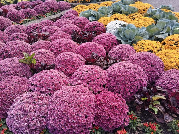 9 urnes de mariage champêtre : idées originales et sur mesure